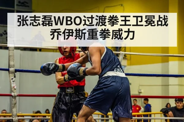 张志磊WBO过渡拳王卫冕战乔伊斯重拳威力